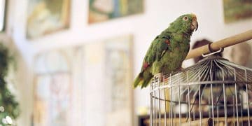 How To Deal (Cope) With Anxiety and Depression?