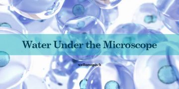water under microscope