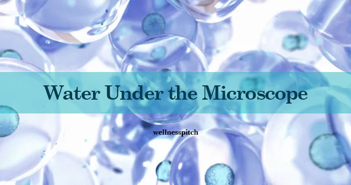 water under microscope