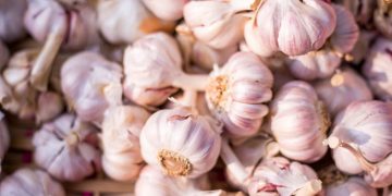8 Powerful Health Benefits of Garlic