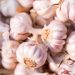 8 Powerful Health Benefits of Garlic