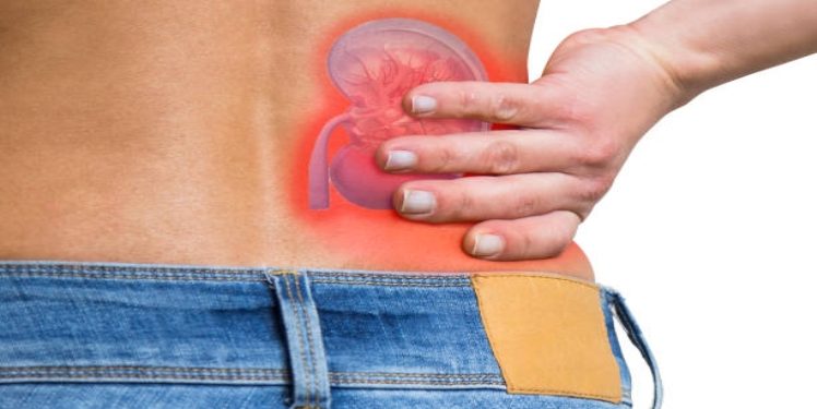 Best Medical Treatment for Kidney Stones