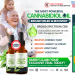 Life CBD Oil Review – Shocking Facts About this Miracle Product