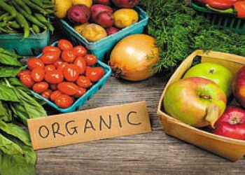 IS EATING ORGANIC REALLY THAT IMPORTANT?
