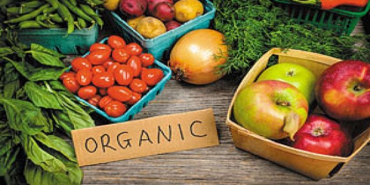 IS EATING ORGANIC REALLY THAT IMPORTANT?