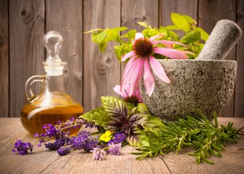 5 Most Powerful or Best Healing Plants For Mind And Body