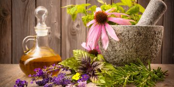 5 Most Powerful or Best Healing Plants For Mind And Body