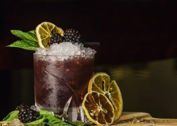 6 Delicious Tonic Water Cocktail Drinks You Must Try