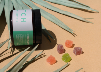 3 Types of Vegan CBD Gummies to Purchase – Asktohow