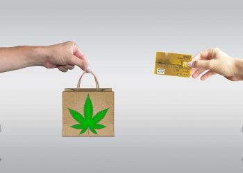 Where Can I Purchase CBD Products – Asktohow