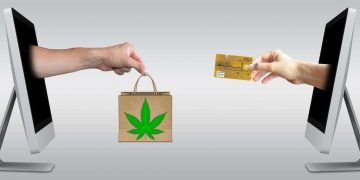 Where Can I Purchase CBD Products – Asktohow