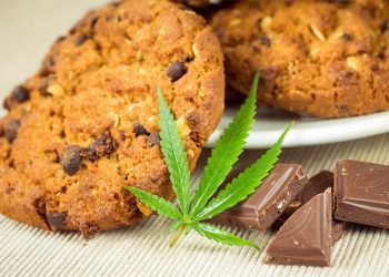 How To Make an Incredible CBD Snack – Asktohow