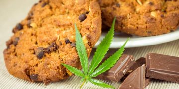 How To Make an Incredible CBD Snack – Asktohow