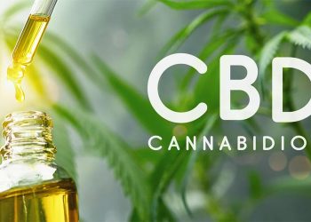 Why We Are Investing In The CBD Industry – Asktohow