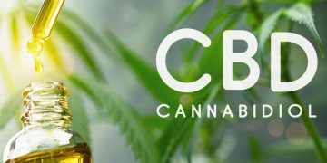 Why We Are Investing In The CBD Industry – Asktohow