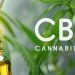 Why We Are Investing In The CBD Industry – Asktohow