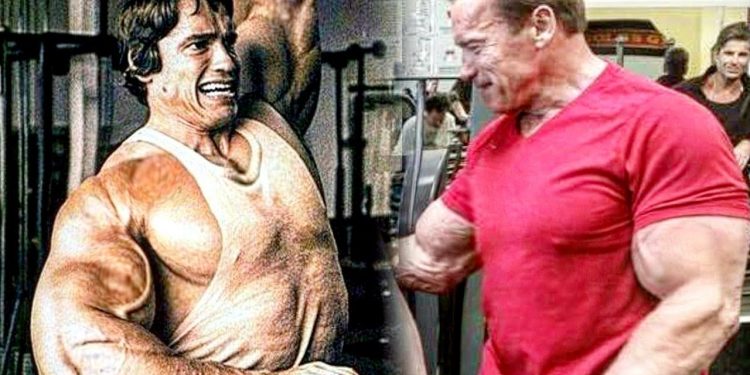 Arnold Schwarzenegger Recent Workout