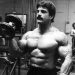 Mike Mentzer Back Workout