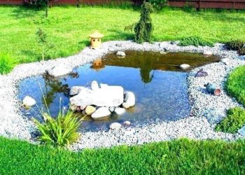 The Undeniable Environmental Benefits of Having a Pond at Home
