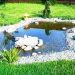 The Undeniable Environmental Benefits of Having a Pond at Home
