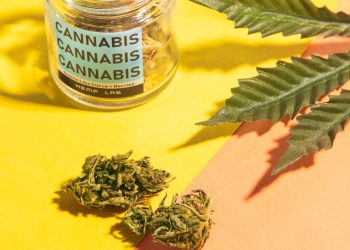 What You Need to Know About the Best Strains for Medicinal Cannabis That Will Help You