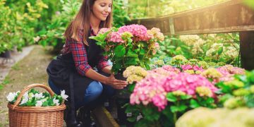 Buying guide: How to find the best pots for your plants