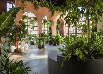 Interior Garden Planters – Decor Your Home With Greenary