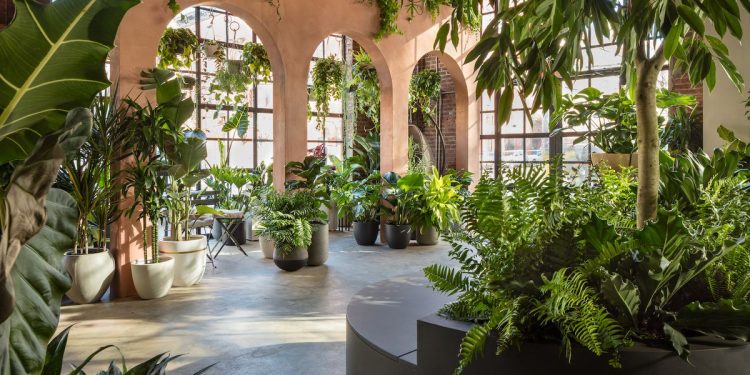 Interior Garden Planters – Decor Your Home With Greenary