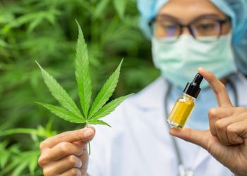 CBD Strains For Anxiety And How CBD Oil Can Relieve Anxiety