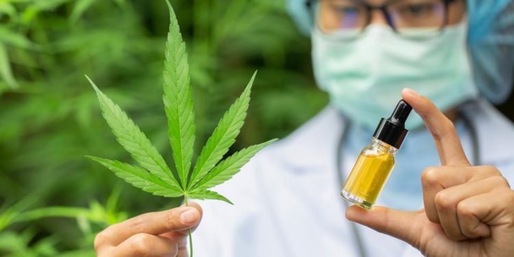 CBD Strains For Anxiety And How CBD Oil Can Relieve Anxiety