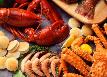 How Can Eating Seafood Benefit Health?