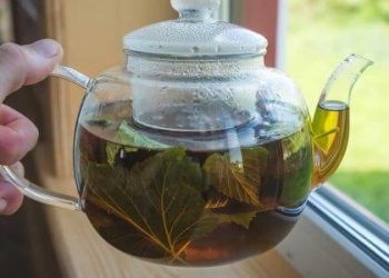 Making Kratom Tea That Honestly Tastes Amazing