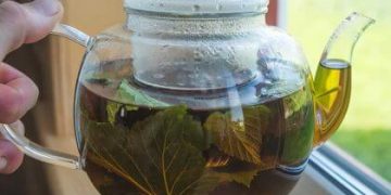 Making Kratom Tea That Honestly Tastes Amazing