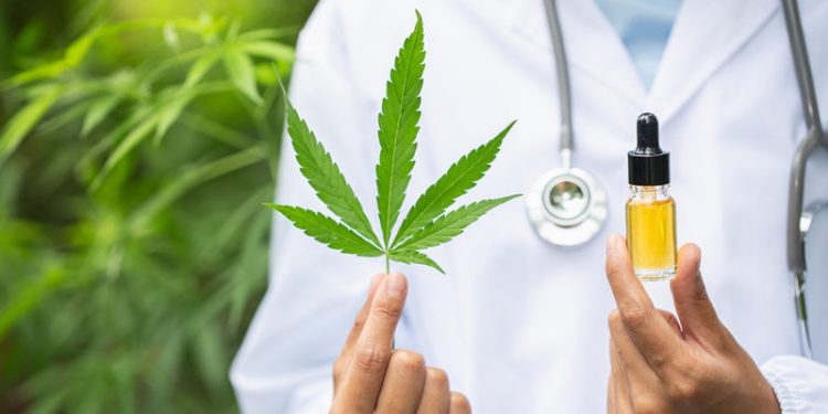 What Are the Guidelines For Prescribing Medical Cannabis?