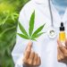 What Are the Guidelines For Prescribing Medical Cannabis?