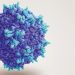 Adeno-Associated Virus (AAV)