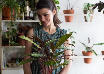 How To Properly Care For Plants?