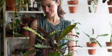 How To Properly Care For Plants?