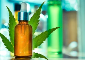 Is CBD Immune Boosting Foods