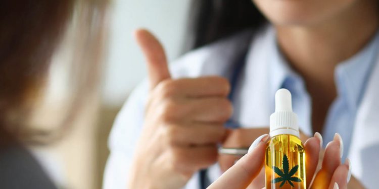 Is CBD Immune Boosting Foods