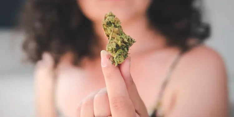 Top 5 CBD Myths Busted!