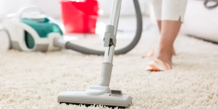 When Should You Get Your Carpet Cleaned?