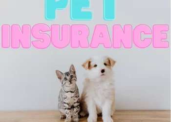What Is Pet Health Insurance?