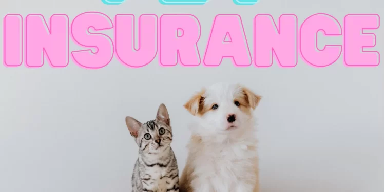 What Is Pet Health Insurance?