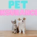 What Is Pet Health Insurance?