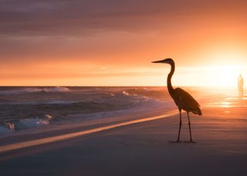 What Makes Florida Great For People In Their Twilight Years