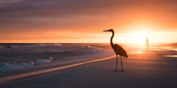 What Makes Florida Great For People In Their Twilight Years