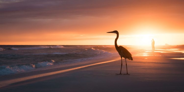 What Makes Florida Great For People In Their Twilight Years