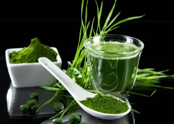 7 Potential Benefits of Blue-Green Algae for your body 