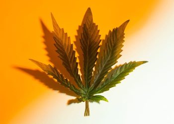 Delta 9 and Delta 10